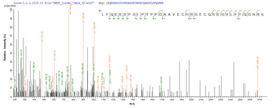 Based on the SEQUEST from database of E.coli host and target protein, the LC-MS/MS Analysis result of this product could indicate that this peptide derived from E.coli-expressed Rattus norvegicus (Rat) Hpx.