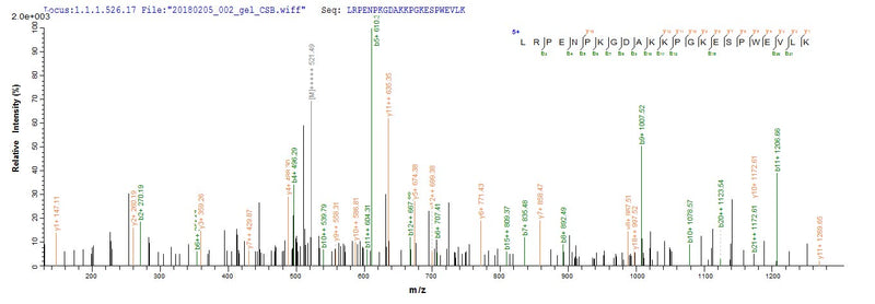 Based on the SEQUEST from database of E.coli host and target protein, the LC-MS/MS Analysis result of this product could indicate that this peptide derived from E.coli-expressed Homo sapiens (Human) HRH1.Recombinant Human Histamine H1 Receptor (HRH1) Protein (His)