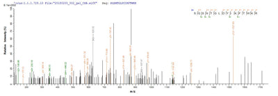 Based on the SEQUEST from database of E.coli host and target protein, the LC-MS/MS Analysis result of this product could indicate that this peptide derived from E.coli-expressed Homo sapiens (Human) HRH1.Recombinant Human Histamine H1 Receptor (HRH1) Protein (His)