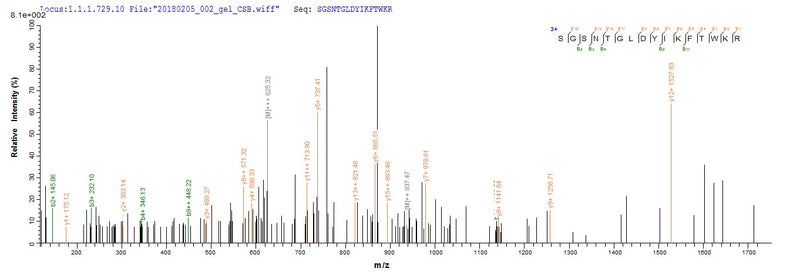 Based on the SEQUEST from database of E.coli host and target protein, the LC-MS/MS Analysis result of this product could indicate that this peptide derived from E.coli-expressed Homo sapiens (Human) HRH1.Recombinant Human Histamine H1 Receptor (HRH1) Protein (His)