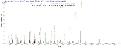 Based on the SEQUEST from database of E.coli host and target protein, the LC-MS/MS Analysis result of this product could indicate that this peptide derived from E.coli-expressed Homo sapiens (Human) HSP90AB1.Recombinant Human Heat Shock Protein Hsp 90-Beta (HSP90AB1) Protein (His&Myc)