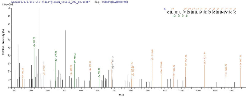 Based on the SEQUEST from database of E.coli host and target protein, the LC-MS/MS Analysis result of this product could indicate that this peptide derived from E.coli-expressed Homo sapiens (Human) HSP90AB1.Recombinant Human Heat Shock Protein Hsp 90-Beta (HSP90AB1) Protein (His&Myc)