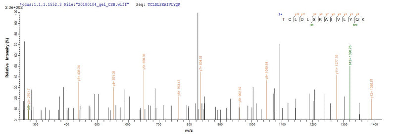 Based on the SEQUEST from database of E.coli host and target protein, the LC-MS/MS Analysis result of this product could indicate that this peptide derived from E.coli-expressed Homo sapiens (Human) ICA1.