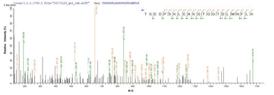 Based on the SEQUEST from database of E.coli host and target protein, the LC-MS/MS Analysis result of this product could indicate that this peptide derived from E.coli-expressed Homo sapiens (Human) IDO1.Recombinant Human Indoleamine 2,3-Dioxygenase 1 (IDO1) Protein (His)