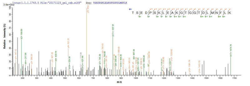 Based on the SEQUEST from database of E.coli host and target protein, the LC-MS/MS Analysis result of this product could indicate that this peptide derived from E.coli-expressed Homo sapiens (Human) IDO1.Recombinant Human Indoleamine 2,3-Dioxygenase 1 (IDO1) Protein (His)
