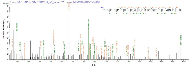 Based on the SEQUEST from database of E.coli host and target protein, the LC-MS/MS Analysis result of this product could indicate that this peptide derived from E.coli-expressed Homo sapiens (Human) IDO1.