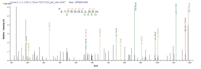 Based on the SEQUEST from database of E.coli host and target protein, the LC-MS/MS Analysis result of this product could indicate that this peptide derived from E.coli-expressed Homo sapiens (Human) IDO1.