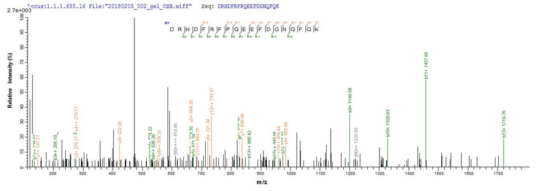 Based on the SEQUEST from database of E.coli host and target protein, the LC-MS/MS Analysis result of this product could indicate that this peptide derived from E.coli-expressed Homo sapiens (Human) IFNA6.