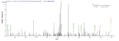 Based on the SEQUEST from database of E.coli host and target protein, the LC-MS/MS Analysis result of this product could indicate that this peptide derived from E.coli-expressed Homo sapiens (Human) IFNA6.