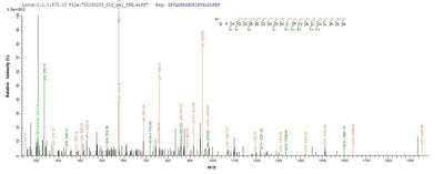 Based on the SEQUEST from database of E.coli host and target protein, the LC-MS/MS Analysis result of this product could indicate that this peptide derived from E.coli-expressed Homo sapiens (Human) IL1B.Recombinant Human Interleukin-1 Beta (IL1B) Protein (His-SUMO)