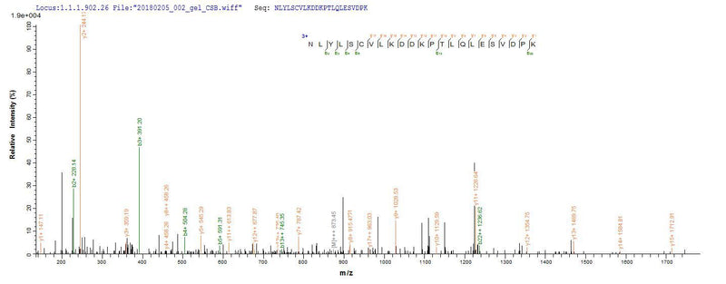 Based on the SEQUEST from database of E.coli host and target protein, the LC-MS/MS Analysis result of this product could indicate that this peptide derived from E.coli-expressed Homo sapiens (Human) IL1B.Recombinant Human Interleukin-1 Beta (IL1B) Protein (His-SUMO)