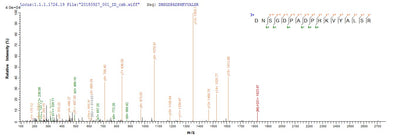 Based on the SEQUEST from database of E.coli host and target protein, the LC-MS/MS Analysis result of this product could indicate that this peptide derived from E.coli-expressed Homo sapiens (Human) IRF7.
