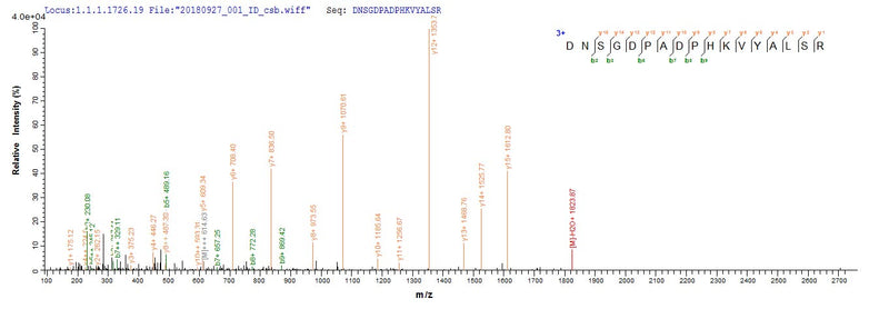 Based on the SEQUEST from database of E.coli host and target protein, the LC-MS/MS Analysis result of this product could indicate that this peptide derived from E.coli-expressed Homo sapiens (Human) IRF7.
