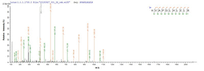 Based on the SEQUEST from database of E.coli host and target protein, the LC-MS/MS Analysis result of this product could indicate that this peptide derived from E.coli-expressed Homo sapiens (Human) IRF7.