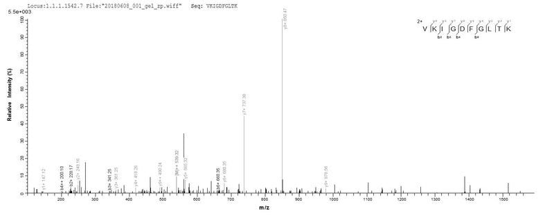 Based on the SEQUEST from database of E.coli host and target protein, the LC-MS/MS Analysis result of this product could indicate that this peptide derived from E.coli-expressed Homo sapiens (Human) JAK2.Recombinant Human Tyrosine-Protein Kinase Jak2 (JAK2) Protein (His)