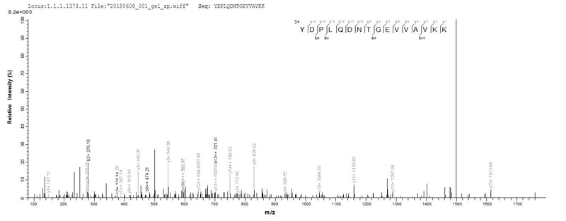 Based on the SEQUEST from database of E.coli host and target protein, the LC-MS/MS Analysis result of this product could indicate that this peptide derived from E.coli-expressed Homo sapiens (Human) JAK2.Recombinant Human Tyrosine-Protein Kinase Jak2 (JAK2) Protein (His)