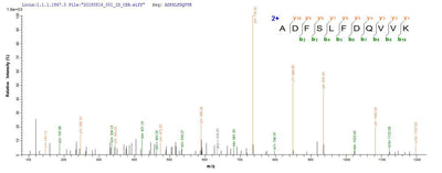 Based on the SEQUEST from database of E.coli host and target protein, the LC-MS/MS Analysis result of this product could indicate that this peptide derived from E.coli-expressed Homo sapiens (Human) KCNJ10.