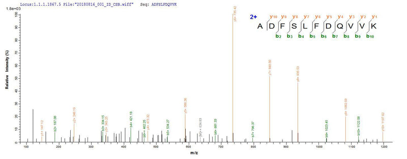 Based on the SEQUEST from database of E.coli host and target protein, the LC-MS/MS Analysis result of this product could indicate that this peptide derived from E.coli-expressed Homo sapiens (Human) KCNJ10.