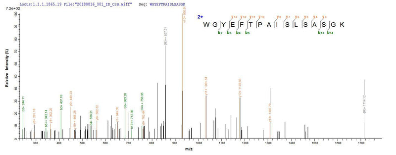 Based on the SEQUEST from database of E.coli host and target protein, the LC-MS/MS Analysis result of this product could indicate that this peptide derived from E.coli-expressed Homo sapiens (Human) KCNJ10.