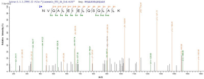 Based on the SEQUEST from database of E.coli host and target protein, the LC-MS/MS Analysis result of this product could indicate that this peptide derived from E.coli-expressed Homo sapiens (Human) KRT10.Recombinant Human Keratin, Type I Cytoskeletal 10 (KRT10) Protein (His)