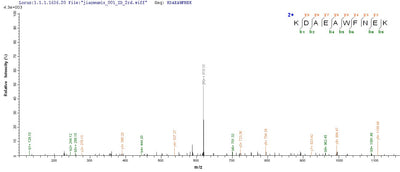 Based on the SEQUEST from database of E.coli host and target protein, the LC-MS/MS Analysis result of this product could indicate that this peptide derived from E.coli-expressed Homo sapiens (Human) KRT10.Recombinant Human Keratin, Type I Cytoskeletal 10 (KRT10) Protein (His)