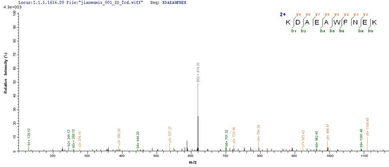 Based on the SEQUEST from database of E.coli host and target protein, the LC-MS/MS Analysis result of this product could indicate that this peptide derived from E.coli-expressed Homo sapiens (Human) KRT10.Recombinant Human Keratin, Type I Cytoskeletal 10 (KRT10) Protein (His)