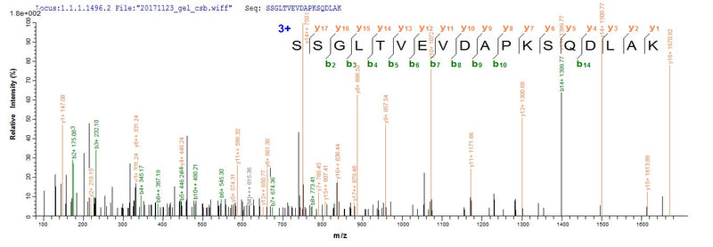 Based on the SEQUEST from database of E.coli host and target protein, the LC-MS/MS Analysis result of this product could indicate that this peptide derived from E.coli-expressed Homo sapiens (Human) KRT18.Recombinant Human Keratin, Type I Cytoskeletal 18 (KRT18) Protein (His)