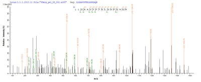 Based on the SEQUEST from database of E.coli host and target protein, the LC-MS/MS Analysis result of this product could indicate that this peptide derived from E.coli-expressed Homo sapiens (Human) LAG3.