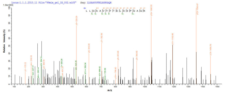 Based on the SEQUEST from database of E.coli host and target protein, the LC-MS/MS Analysis result of this product could indicate that this peptide derived from E.coli-expressed Homo sapiens (Human) LAG3.Recombinant Human Lymphocyte Activation Gene 3 Protein (LAG3) Protein (His-GST)