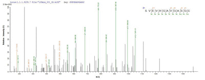 Based on the SEQUEST from database of E.coli host and target protein, the LC-MS/MS Analysis result of this product could indicate that this peptide derived from E.coli-expressed Homo sapiens (Human) LAMA5.Recombinant Human Laminin Subunit Alpha-5 (LAMA5) Protein (His-SUMO)