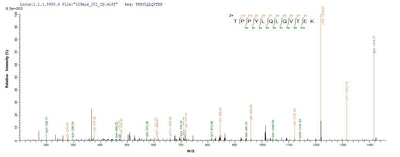 Based on the SEQUEST from database of E.coli host and target protein, the LC-MS/MS Analysis result of this product could indicate that this peptide derived from E.coli-expressed Homo sapiens (Human) LAMA5.Recombinant Human Laminin Subunit Alpha-5 (LAMA5) Protein (His-SUMO)