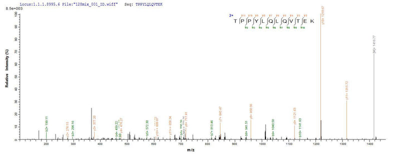 Based on the SEQUEST from database of E.coli host and target protein, the LC-MS/MS Analysis result of this product could indicate that this peptide derived from E.coli-expressed Homo sapiens (Human) LAMA5.Recombinant Human Laminin Subunit Alpha-5 (LAMA5) Protein (His-SUMO)