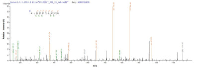 Based on the SEQUEST from database of E.coli host and target protein, the LC-MS/MS Analysis result of this product could indicate that this peptide derived from E.coli-expressed Homo sapiens (Human) LOXL1.Recombinant Human Lysyl Oxidase Homolog 1 (LOXL1) Protein (His)