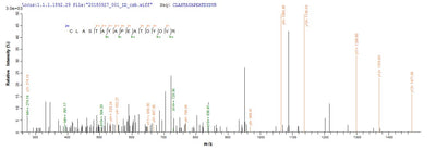 Based on the SEQUEST from database of E.coli host and target protein, the LC-MS/MS Analysis result of this product could indicate that this peptide derived from E.coli-expressed Homo sapiens (Human) LOXL1.Recombinant Human Lysyl Oxidase Homolog 1 (LOXL1) Protein (His)