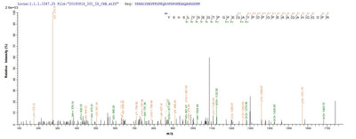Based on the SEQUEST from database of E.coli host and target protein, the LC-MS/MS Analysis result of this product could indicate that this peptide derived from E.coli-expressed Homo sapiens (Human) LOXL1.Recombinant Human Lysyl Oxidase Homolog 1 (LOXL1)
