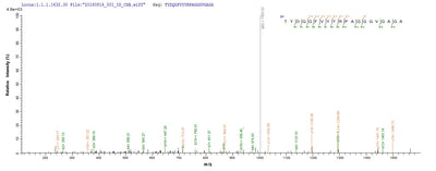Based on the SEQUEST from database of E.coli host and target protein, the LC-MS/MS Analysis result of this product could indicate that this peptide derived from E.coli-expressed Homo sapiens (Human) LOXL1.Recombinant Human Lysyl Oxidase Homolog 1 (LOXL1)