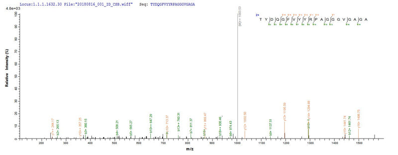 Based on the SEQUEST from database of E.coli host and target protein, the LC-MS/MS Analysis result of this product could indicate that this peptide derived from E.coli-expressed Homo sapiens (Human) LOXL1.Recombinant Human Lysyl Oxidase Homolog 1 (LOXL1)