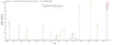 Based on the SEQUEST from database of E.coli host and target protein, the LC-MS/MS Analysis result of this product could indicate that this peptide derived from E.coli-expressed Mus musculus (Mouse) Loxl1.