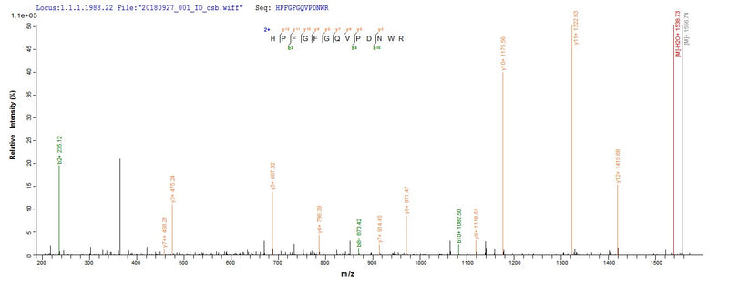 Based on the SEQUEST from database of E.coli host and target protein, the LC-MS/MS Analysis result of this product could indicate that this peptide derived from E.coli-expressed Mus musculus (Mouse) Loxl1.