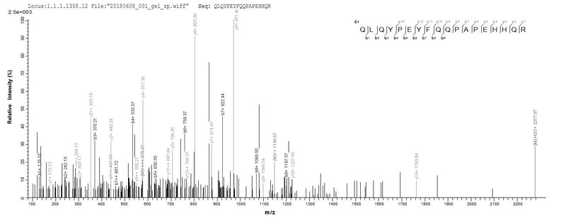 Based on the SEQUEST from database of E.coli host and target protein, the LC-MS/MS Analysis result of this product could indicate that this peptide derived from E.coli-expressed Mus musculus (Mouse) Loxl2.Recombinant Mouse Lysyl Oxidase Homolog 2 (LOXL2) Protein (His)