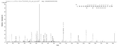 Based on the SEQUEST from database of E.coli host and target protein, the LC-MS/MS Analysis result of this product could indicate that this peptide derived from E.coli-expressed Mus musculus (Mouse) Loxl2.Recombinant Mouse Lysyl Oxidase Homolog 2 (LOXL2) Protein (His)