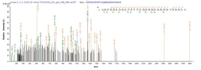 Based on the SEQUEST from database of E.coli host and target protein, the LC-MS/MS Analysis result of this product could indicate that this peptide derived from E.coli-expressed Mus musculus (Mouse) Lum.Recombinant Mouse Lumican (LUM) Protein (His&Myc)