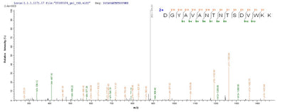 Based on the SEQUEST from database of E.coli host and target protein, the LC-MS/MS Analysis result of this product could indicate that this peptide derived from E.coli-expressed Mus musculus (Mouse) Ly75.Recombinant Mouse Lymphocyte Antigen 75 (LY75) Protein (His)