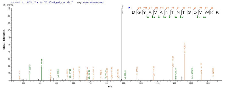 Based on the SEQUEST from database of E.coli host and target protein, the LC-MS/MS Analysis result of this product could indicate that this peptide derived from E.coli-expressed Mus musculus (Mouse) Ly75.Recombinant Mouse Lymphocyte Antigen 75 (LY75) Protein (His)