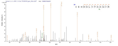 Based on the SEQUEST from database of E.coli host and target protein, the LC-MS/MS Analysis result of this product could indicate that this peptide derived from E.coli-expressed Mus musculus (Mouse) Ly75.Recombinant Mouse Lymphocyte Antigen 75 (LY75) Protein (His)