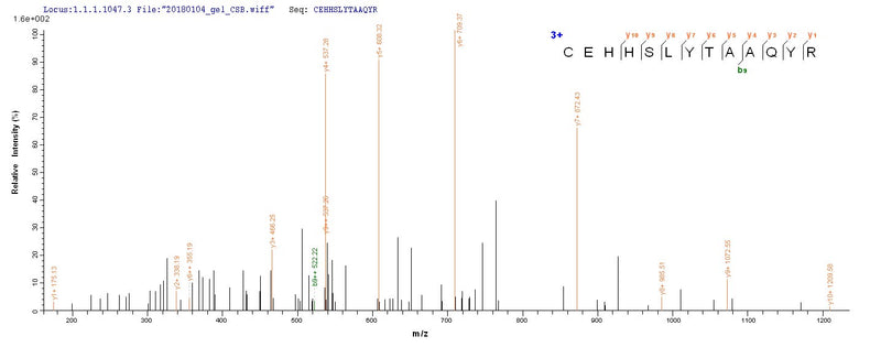 Based on the SEQUEST from database of E.coli host and target protein, the LC-MS/MS Analysis result of this product could indicate that this peptide derived from E.coli-expressed Mus musculus (Mouse) Ly75.Recombinant Mouse Lymphocyte Antigen 75 (LY75) Protein (His)