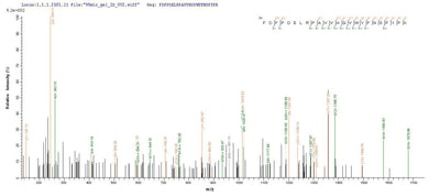 Based on the SEQUEST from database of E.coli host and target protein, the LC-MS/MS Analysis result of this product could indicate that this peptide derived from E.coli-expressed Homo sapiens (Human) MAG.Recombinant Human Myelin-Associated Glycoprotein (MAG) Protein (His-SUMO)