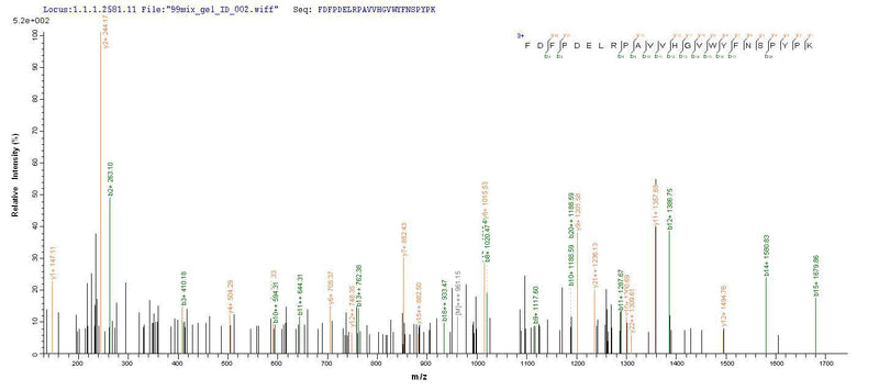 Based on the SEQUEST from database of E.coli host and target protein, the LC-MS/MS Analysis result of this product could indicate that this peptide derived from E.coli-expressed Homo sapiens (Human) MAG.Recombinant Human Myelin-Associated Glycoprotein (MAG) Protein (His-SUMO)
