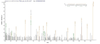 Based on the SEQUEST from database of E.coli host and target protein, the LC-MS/MS Analysis result of this product could indicate that this peptide derived from E.coli-expressed Homo sapiens (Human) MAG.Recombinant Human Myelin-Associated Glycoprotein (MAG) Protein (His-SUMO)