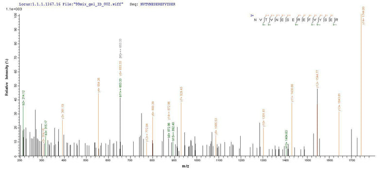 Based on the SEQUEST from database of E.coli host and target protein, the LC-MS/MS Analysis result of this product could indicate that this peptide derived from E.coli-expressed Homo sapiens (Human) MAG.Recombinant Human Myelin-Associated Glycoprotein (MAG) Protein (His-SUMO)
